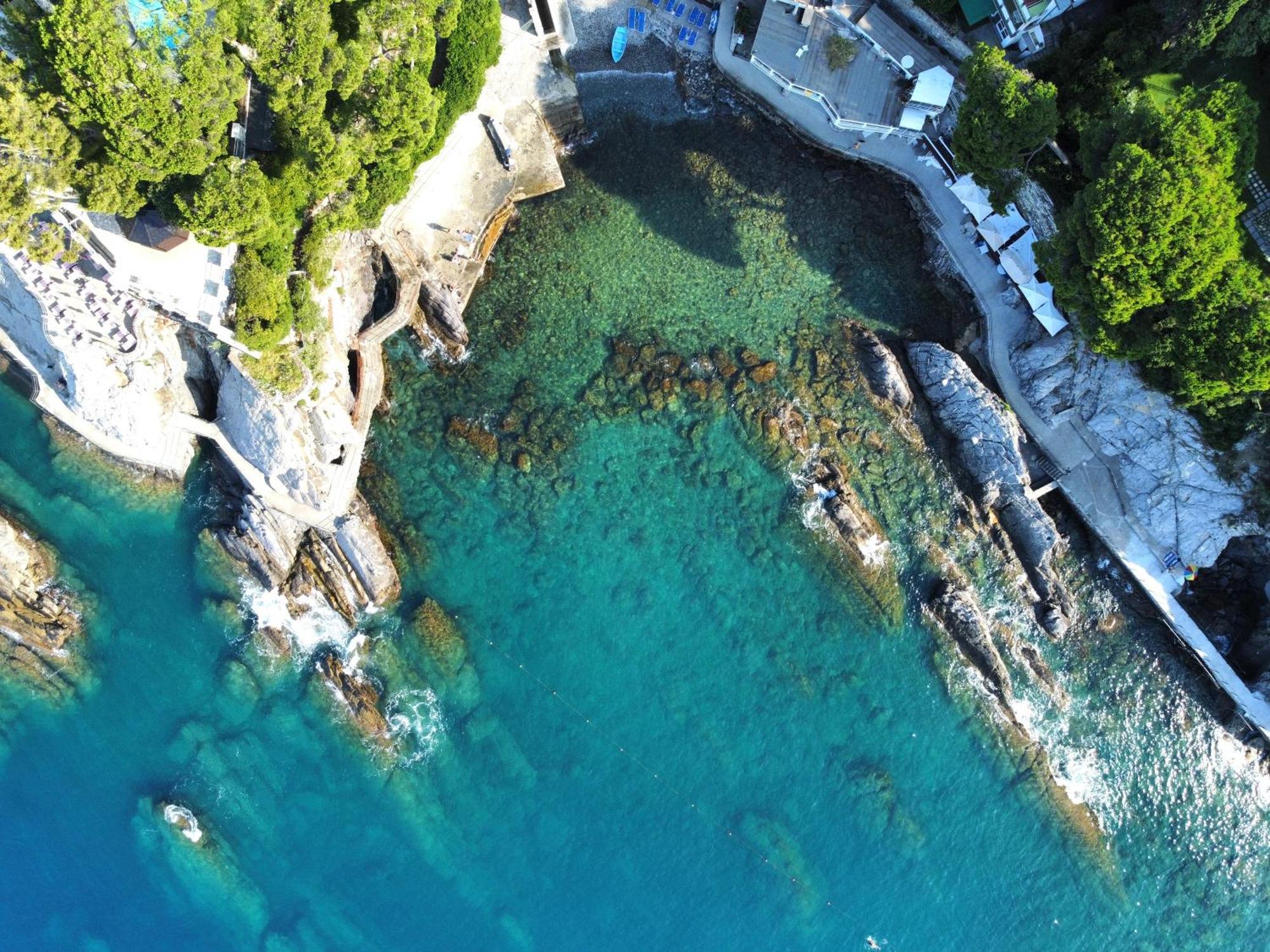 La Terrazza Sul Mare Appartement Zoagli Buitenkant foto